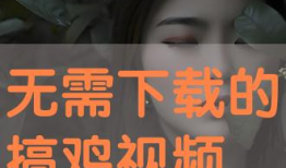免费搞鸡视频,轻松享受娱乐时光